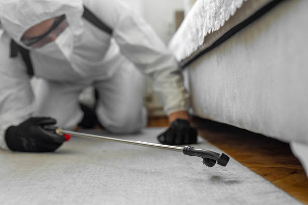 Professional Bed Bug Control technician working in Highland County County, VA